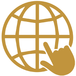 Web Portal Development